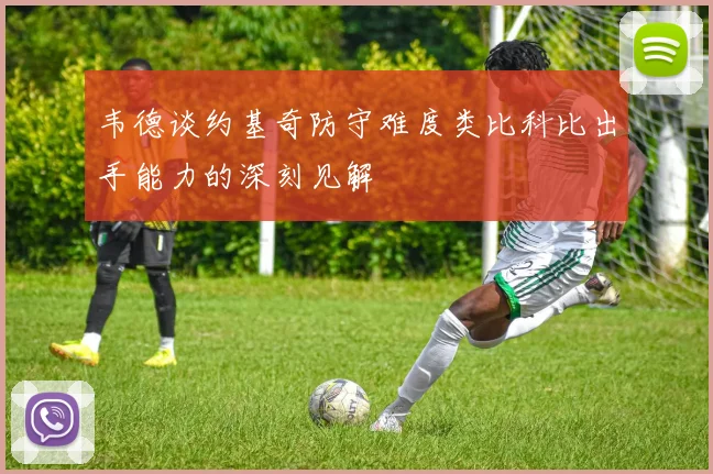 韦德谈约基奇防守难度类比科比出手能力的深刻见解