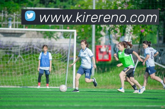 企业概况